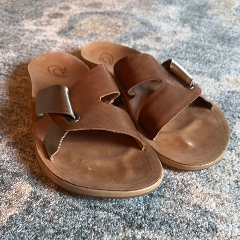 Brown Slide Sandals